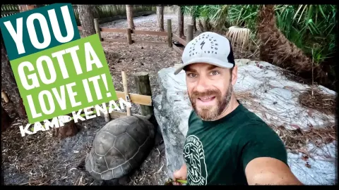 Spring Tortoise Care: Trimming Weeds and Feeding the Herd at Camp