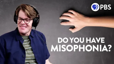 Why Certain Sounds Trigger Intense Disgust and Anxiety