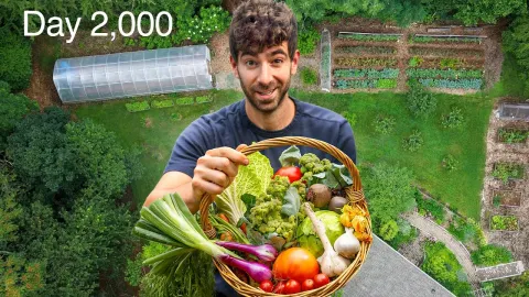 10 Garden Lessons Learned After 5 Years of Growing Food for My Family