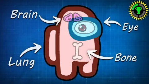 The Surprising Biology of Among Us Crewmates Revealed