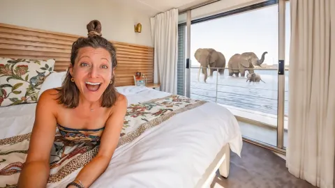 Experience the World's Best River Cruise Safari on the Chobe River