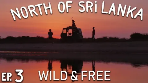 Discovering Jaffna Village Life and Sri Lanka's Hidden Beauty on a Budget