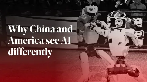 China See Features and What to Know