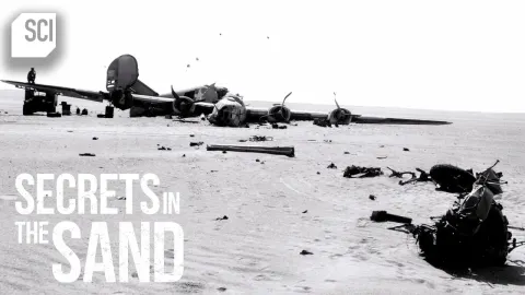 WWII B-24 Bomber Discovered Intact in Libyan Desert