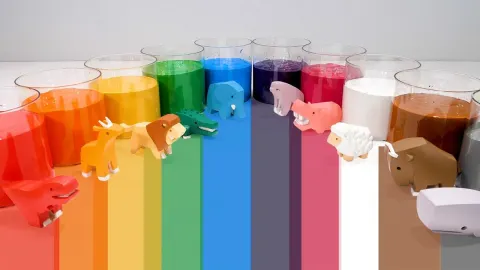 Animal: Toy Explained Clearly