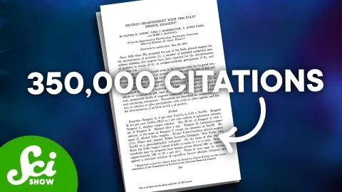 The Most Cited Scientific Papers of All Time Revealed