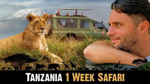 One Week Safari in Tanzania Exploring Serengeti, Ngorongoro Crater, and Zanzibar