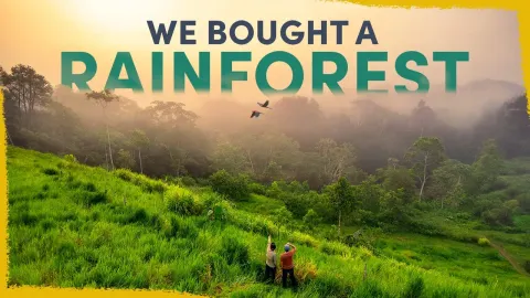 We Bought a Piece of the Amazon Rainforest to Restore and Protect It