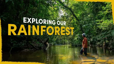 Exploring Our Purchased Land in the Amazon Rainforest