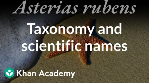Fish Names and the Science Behind It