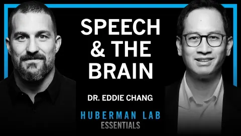 How the Brain Decodes Speech: The Science Behind Language and Communication