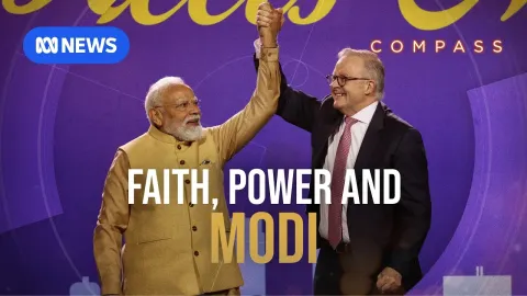 Modi They Features and What to Know