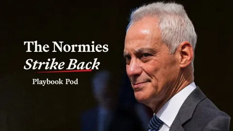 Normie Majority Features and What to Know