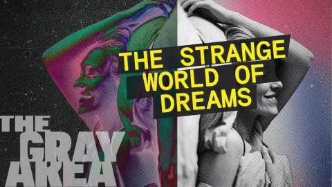 Understanding the Purpose of Dreams and Nightmares