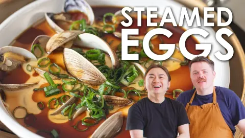 Clams Eggs Gameplay and New Features