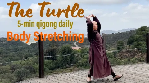 Daily Qigong Turtle Exercise for Full Body Stretch and Relaxation