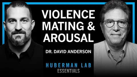 The Neuroscience of Aggression, Mating, and Arousal: Insights from Dr. David Anderson