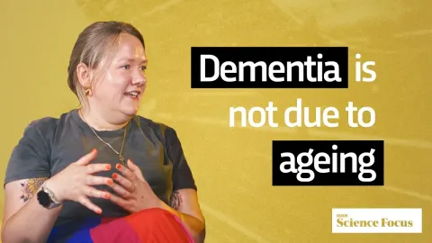 Selina Condition Features and What to Know