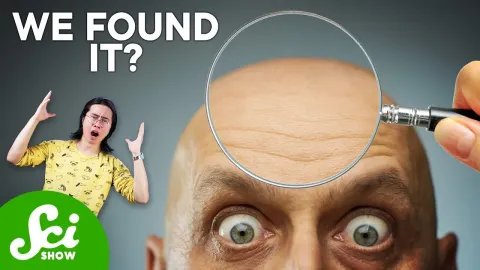 Hair See Features and What to Know