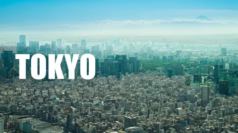 Tokyo Adventure from Skytree to Historic Outskirts