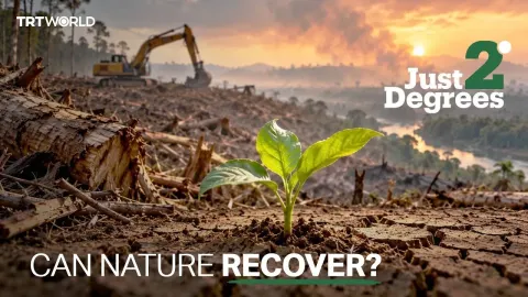 Tropical Forests Cover Just 3.6 Percent of Earth but Sustain Half Its Species