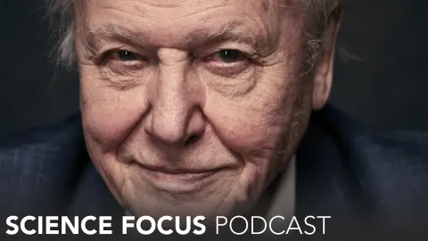 Sir David Attenborough on Saving Our Planet and the Urgency of Conservation