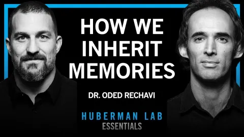 How Genes Carry Memories Across Generations and What It Means for Inheritance