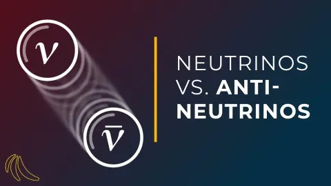 Neutrinos Could Be Their Own Antiparticle and Rewrite Physics