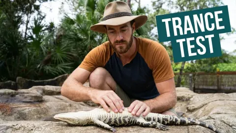 The Truth Behind Putting Alligators Into a Trance and Why It Works