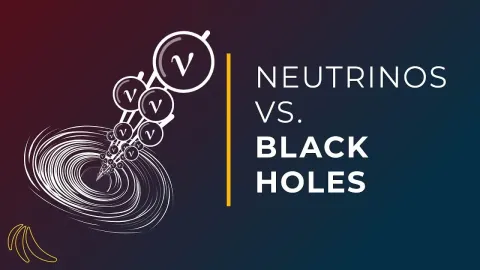 Neutrinos and Black Holes What Happens When Lightest Particles Meet the Darkest Objects
