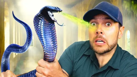 Searching for Spitting Cobras in an Abandoned Borneo Hotel