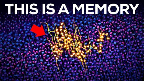 The Science of Memory Storage in the Human Brain