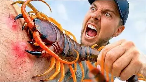 Brave Wilderness Host Ranks the Most Painful Insect Stings and Bites Ever Endured