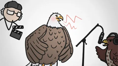 Why Movie Eagles Use a Different Bird's Call
