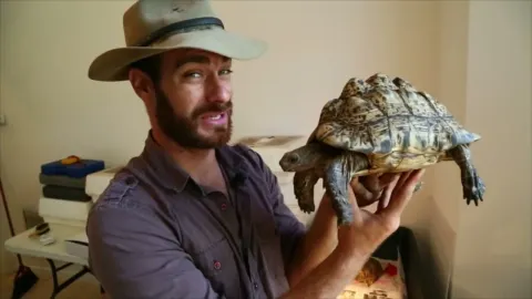 Sick Animals in Collections How Keepers Can Spot Health Problems Early