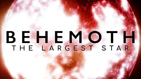The Largest Star Ever Found and How It Compares to Our Sun