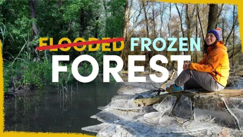 Flooded Froze and the Natural Context