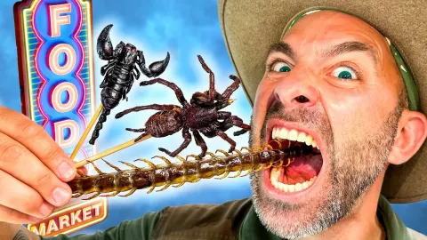Coyote Peterson Rates Thailand's Bug Buffet from Tasty to Terrible