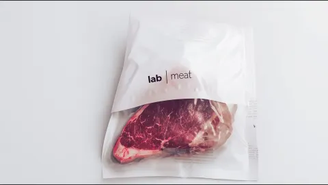 Lab-Grown Meat A Billion-Dollar Bet That May Never Pay Off