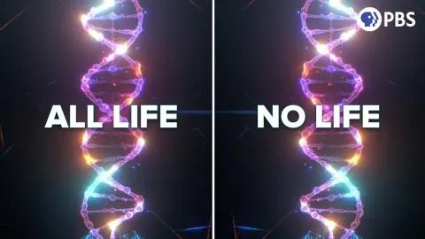 The Mystery of DNA's Right-Handed Helix and Its Cosmic Origins