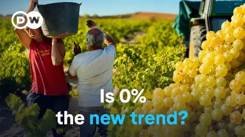 Non Wine Features and What to Know