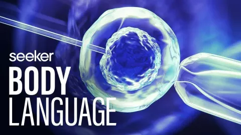 How Cancer Treatments Can Affect Fertility and What You Can Do