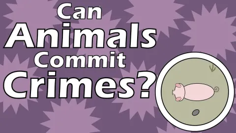 The Strange History of Animal Trials in Medieval Europe