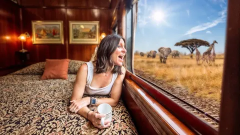 Experience Africa's Most Luxurious Train Journey on Rovos Rail