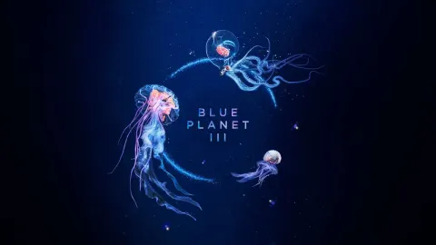 Blue Planet III Trailer Reveals JADE and Hans Zimmer Collaboration for BBC Earth