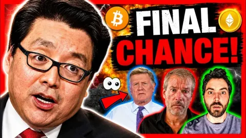 Crypto Market Turmoil Signals Potential Altcoin Surge