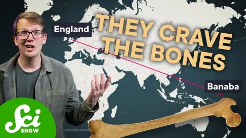When 19th Century England Exhausted Its Bone Supply for Fertilizer