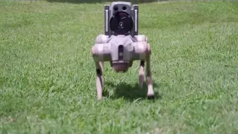 Security Robot Features and What to Know
