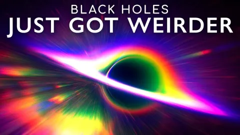 What You Would Actually See While Falling Into a Black Hole Before Reaching the Singularity