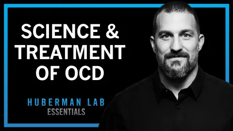 Understanding OCD Science and Effective Treatment Options
